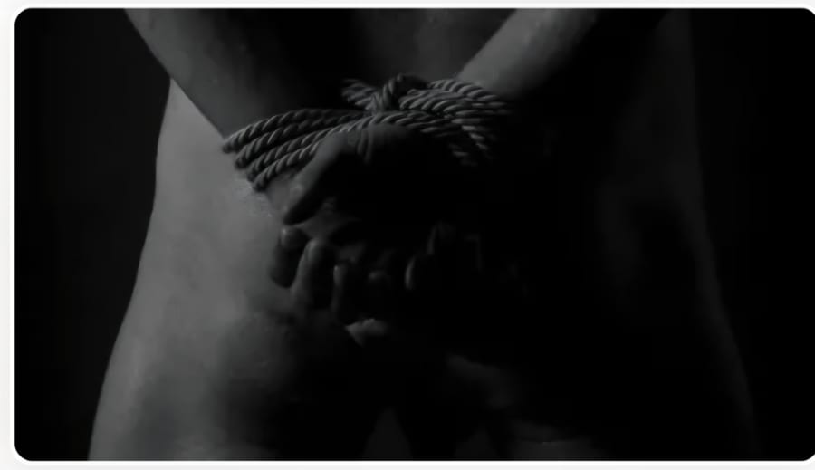 Sex med flera stycken.